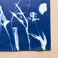 Tulip Dance no. 5 - 19.5" x 28" - UNFRAMED