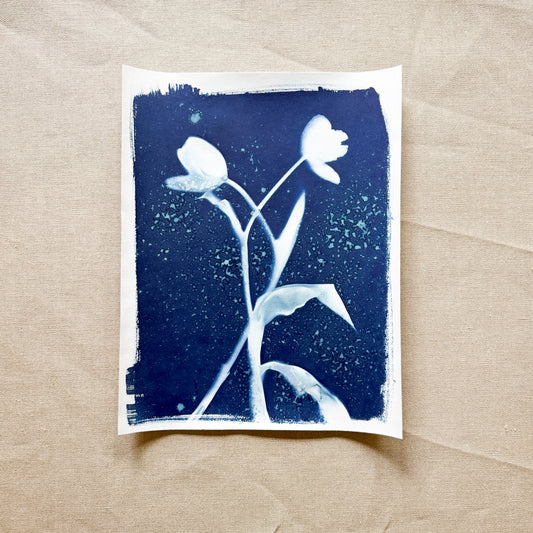 Tulip Dance no. 12 - 11" x 14" - UNFRAMED