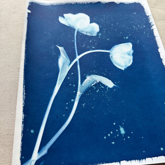 Tulip Dance no. 11 - 11" x 14" - UNFRAMED