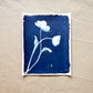 Tulip Dance no. 11 - 11" x 14" - UNFRAMED