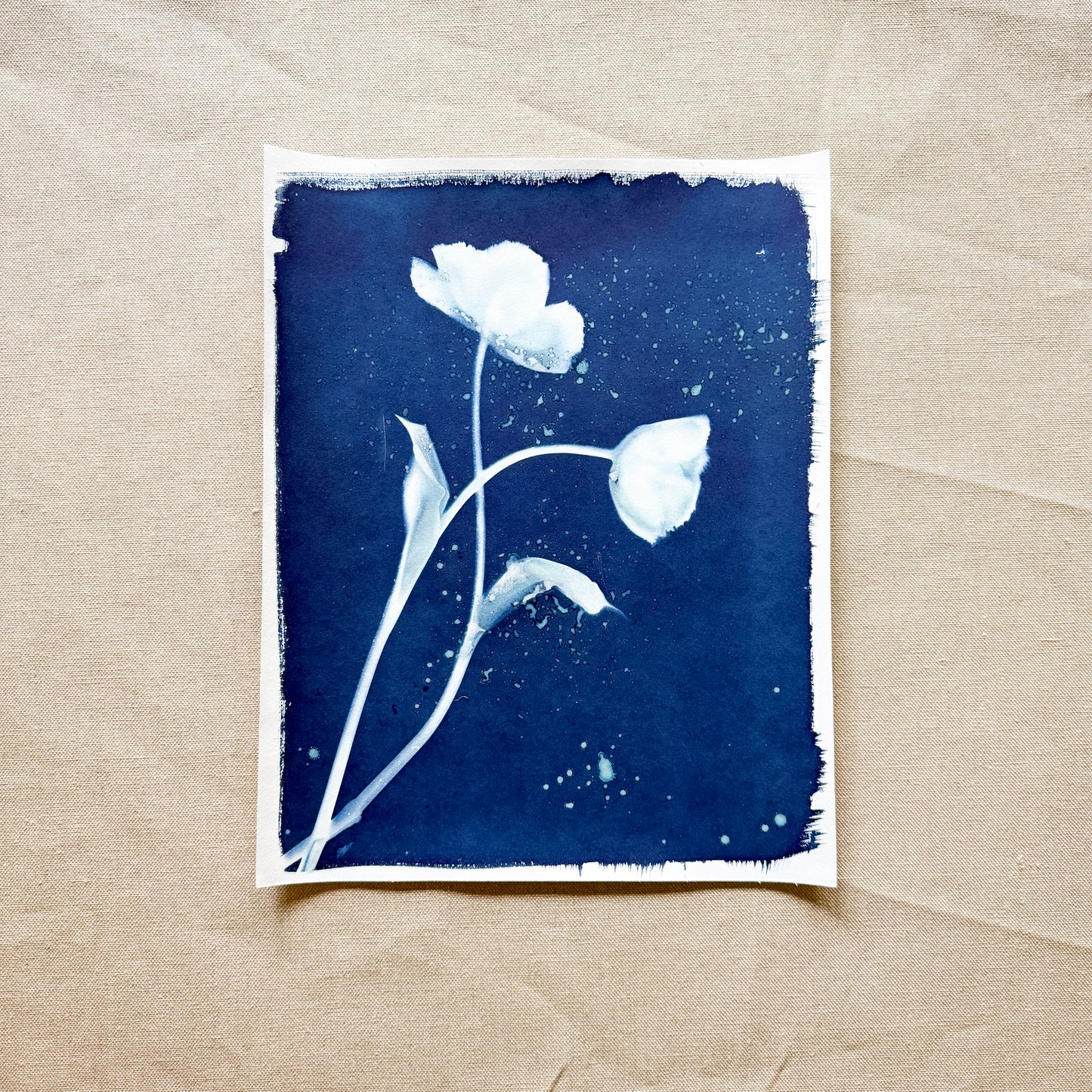 Tulip Dance no. 11 - 11" x 14" - UNFRAMED