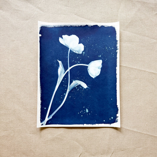 Tulip Dance no. 11 - 11" x 14" - UNFRAMED