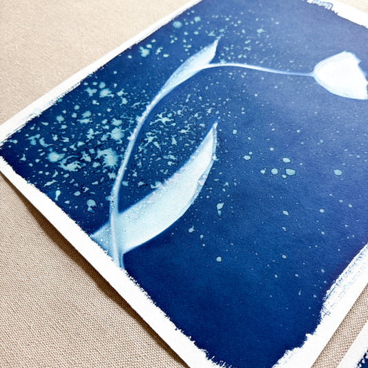 Tulip Dance no. 8 - diptych  - 11" x 14" - UNFRAMED