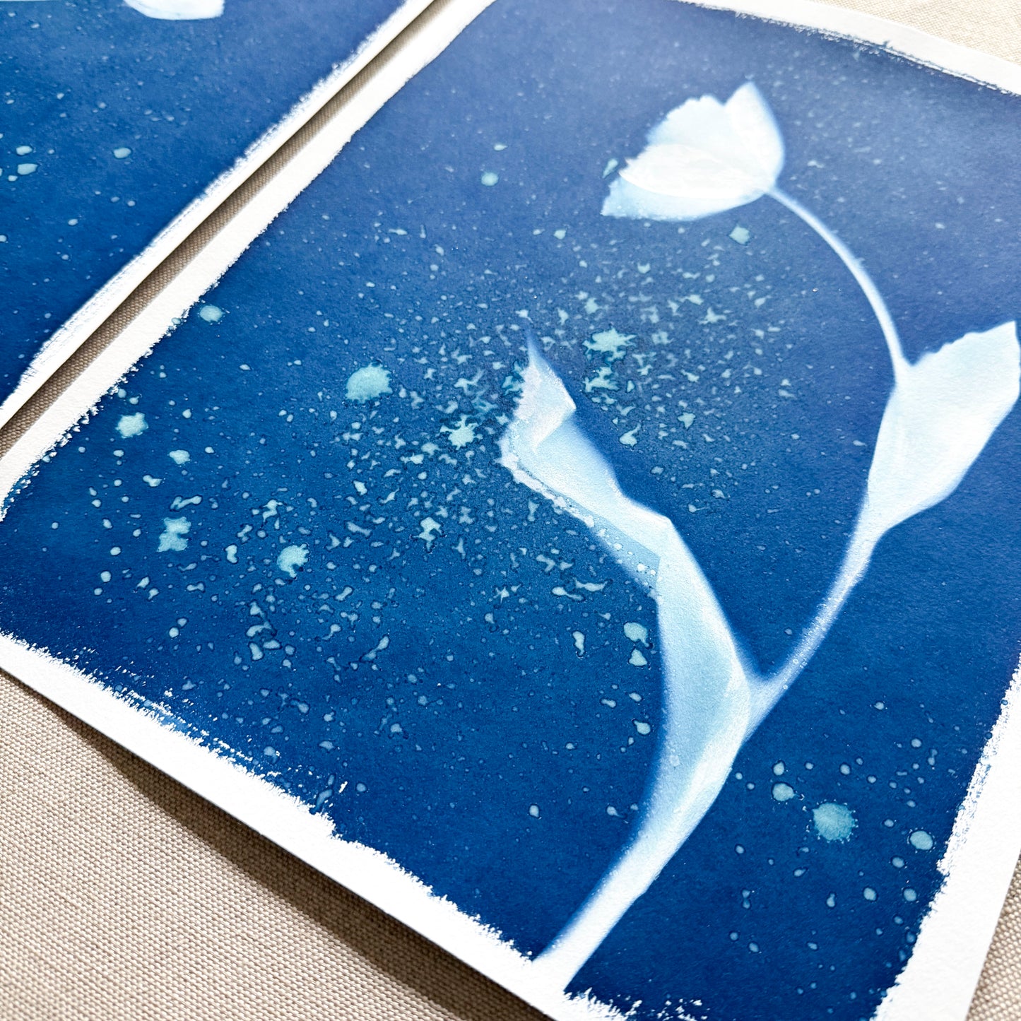 Tulip Dance no. 8 - diptych  - 11" x 14" - UNFRAMED