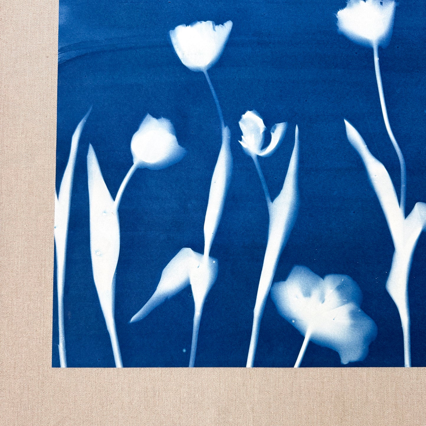 Tulip Dance no. 6 - 19" x 26" - UNFRAMED