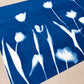 Tulip Dance no. 6 - 19" x 26" - UNFRAMED