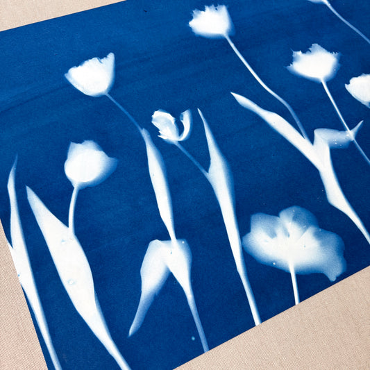 Tulip Dance no. 6 - 19" x 26" - UNFRAMED