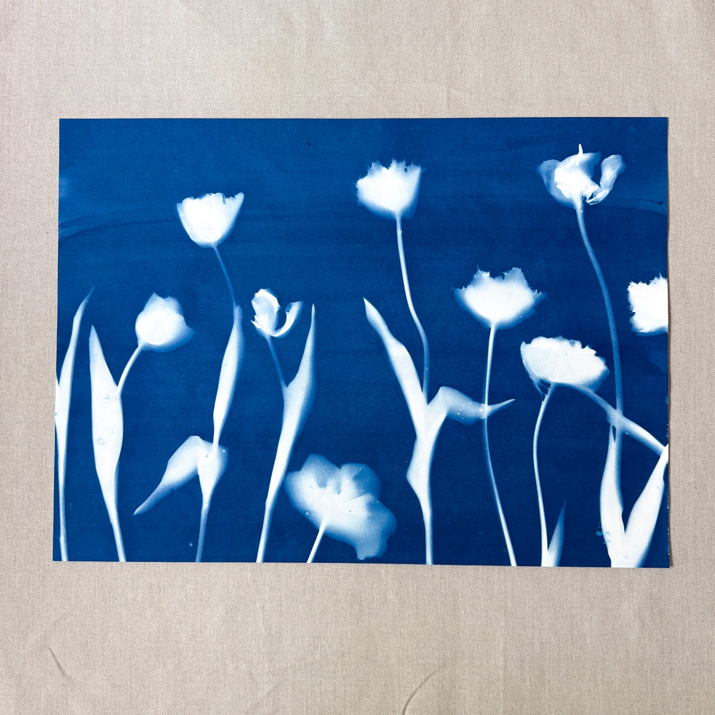 Tulip Dance no. 6 - 19" x 26" - UNFRAMED