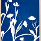 Tulip Dance no. 4 - diptych  - 20" x 27" - UNFRAMED