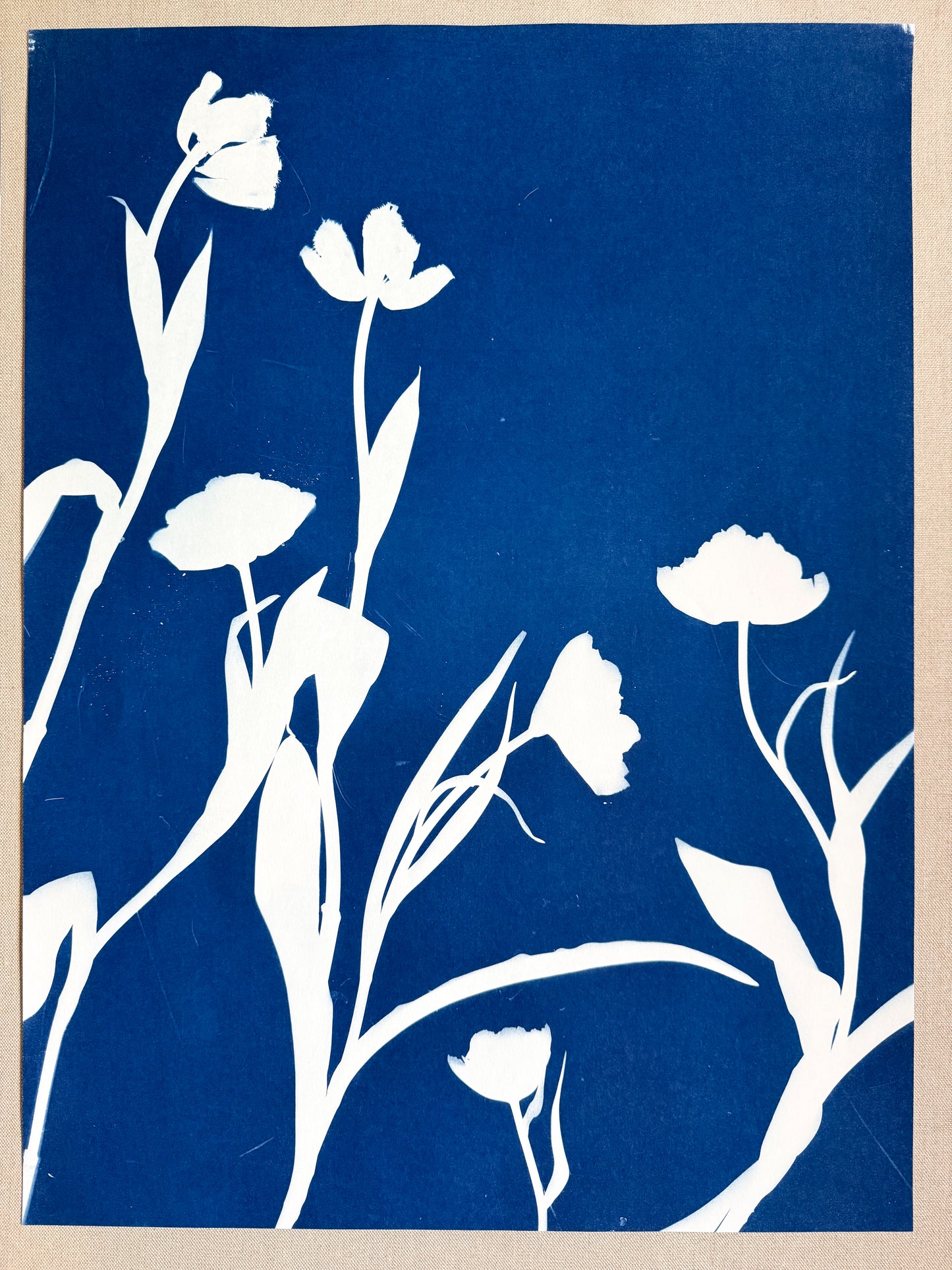 Tulip Dance no. 4 - diptych  - 20" x 27" - UNFRAMED