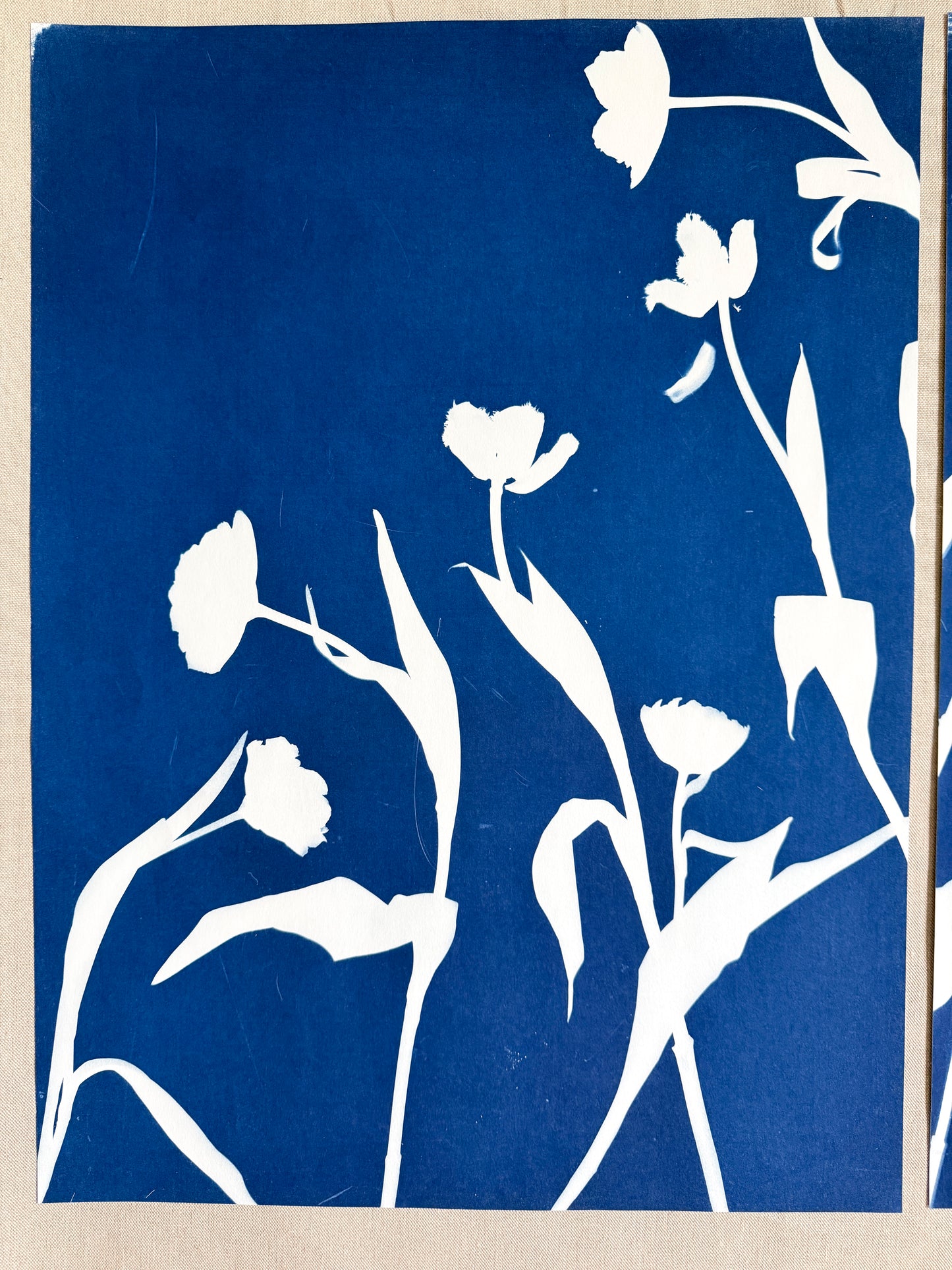 Tulip Dance no. 4 - diptych  - 20" x 27" - UNFRAMED
