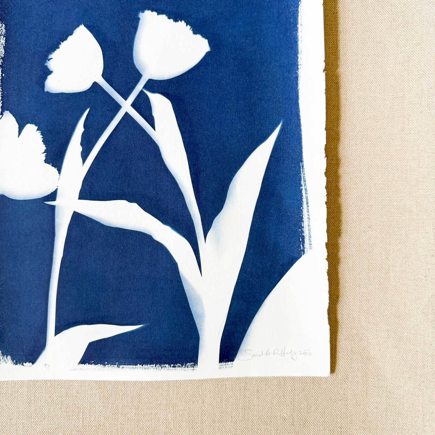 Tulip Dance no. 7 - triptych  - 11" x 14" - UNFRAMED