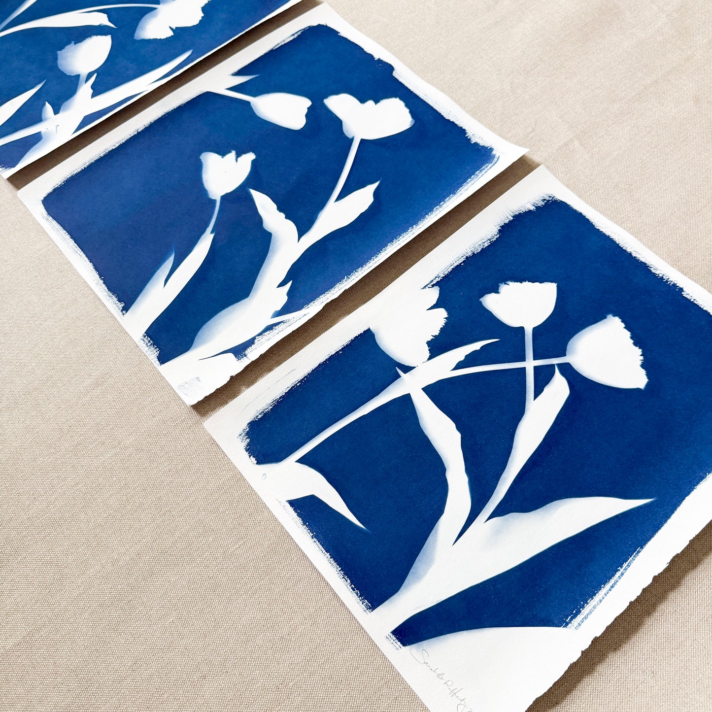 Tulip Dance no. 7 - triptych  - 11" x 14" - UNFRAMED