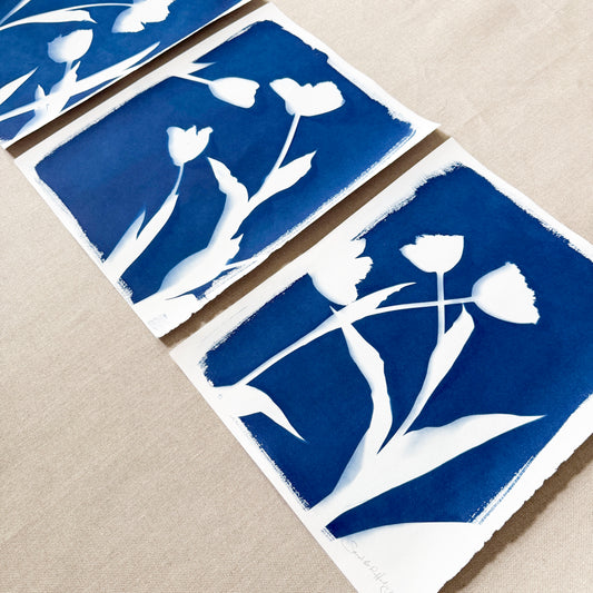 Tulip Dance no. 7 - triptych  - 11" x 14" - UNFRAMED