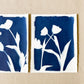 Tulip Dance no. 7 - triptych  - 11" x 14" - UNFRAMED