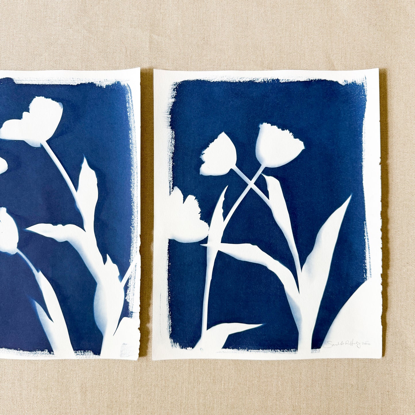 Tulip Dance no. 7 - triptych  - 11" x 14" - UNFRAMED