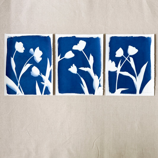 Tulip Dance no. 7 - triptych  - 11" x 14" - UNFRAMED