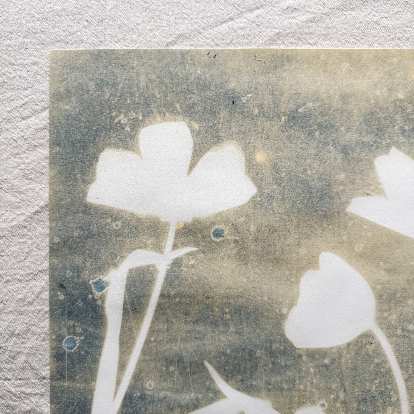 Tulip Dance no. 9 - 11" x 17" - UNFRAMED