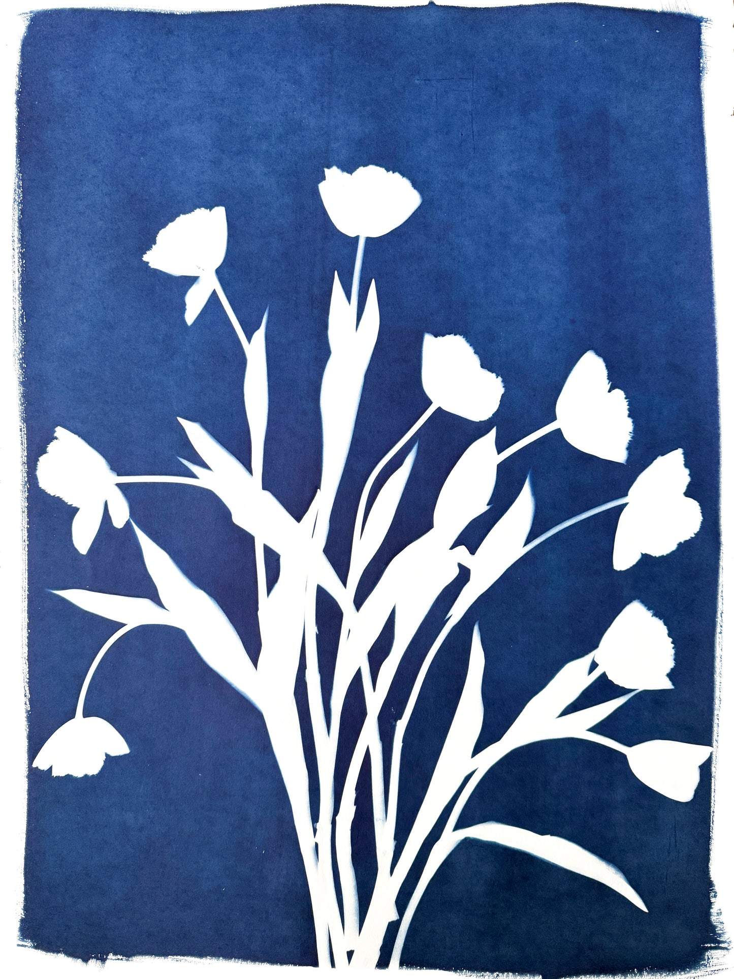 Tulip Dance no. 2 - 22" x 30" - UNFRAMED