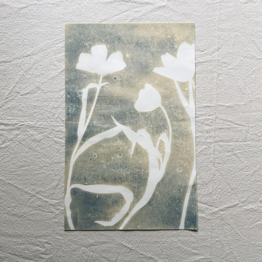 Tulip Dance no. 9 - 11" x 17" - UNFRAMED