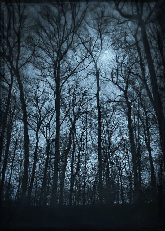 Custom Listing for Steve