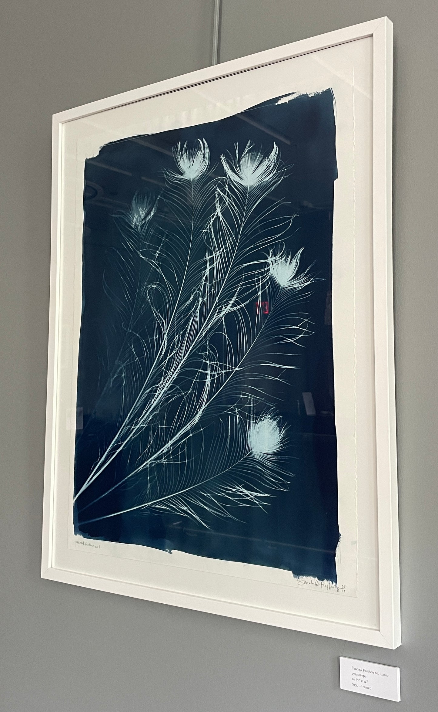 Peacock Feathers no. 1 - FRAMED