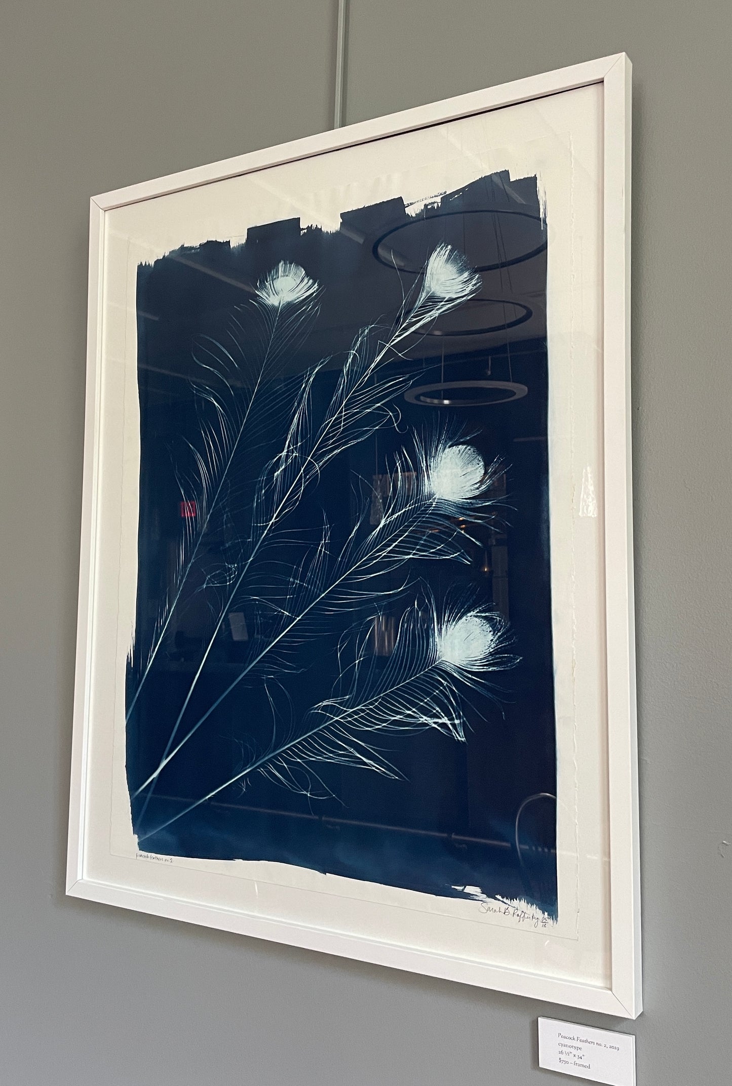 Peacock Feathers no. 2 - FRAMED