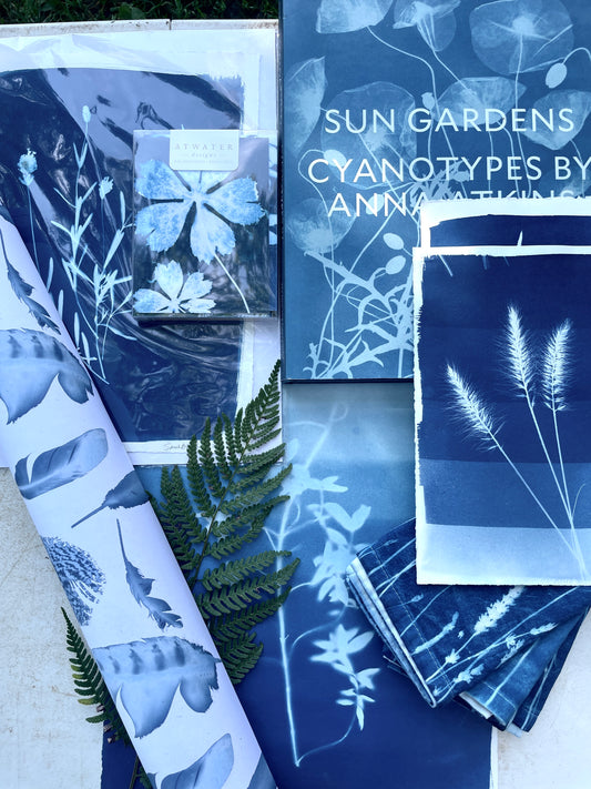 September 20 - Cyanotype Photographs