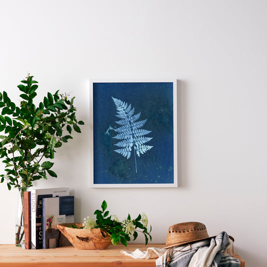 Mystery Fern